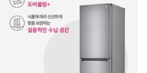 LG전자 디오스 일반형 냉장고